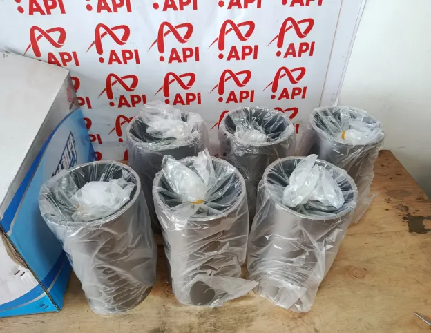Xi Lanh Động Cơ Weichai WD10 Chính Hãng